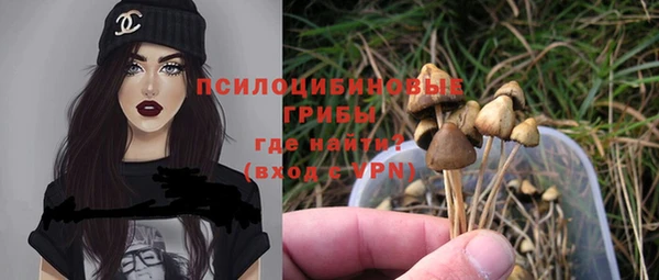 Альфа ПВП Богородицк