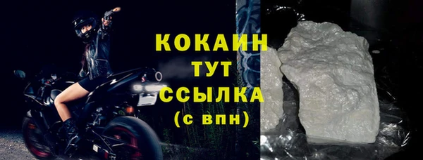 гидра Богданович