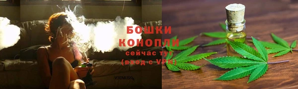 Альфа ПВП Богородицк