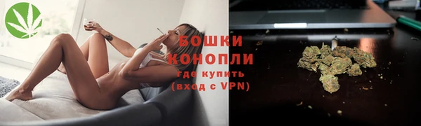 гидра Богданович