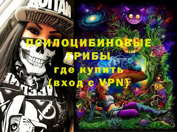 гидра Богданович