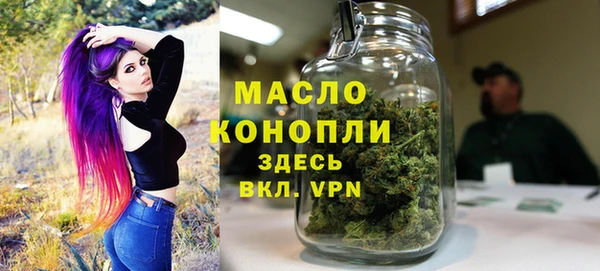 гидра Богданович