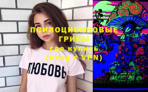 гидра Богданович