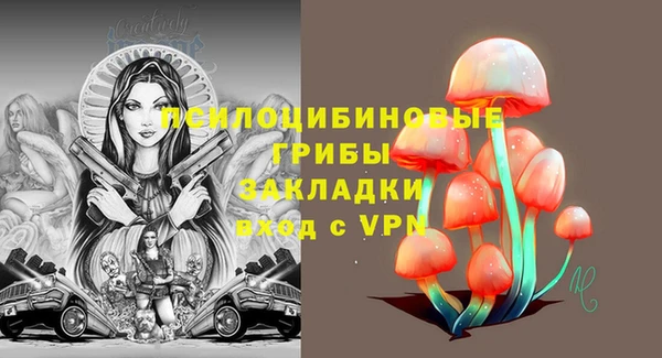 apvp Богородск