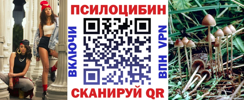 где купить наркоту  Городец  Псилоцибиновые грибы мицелий 